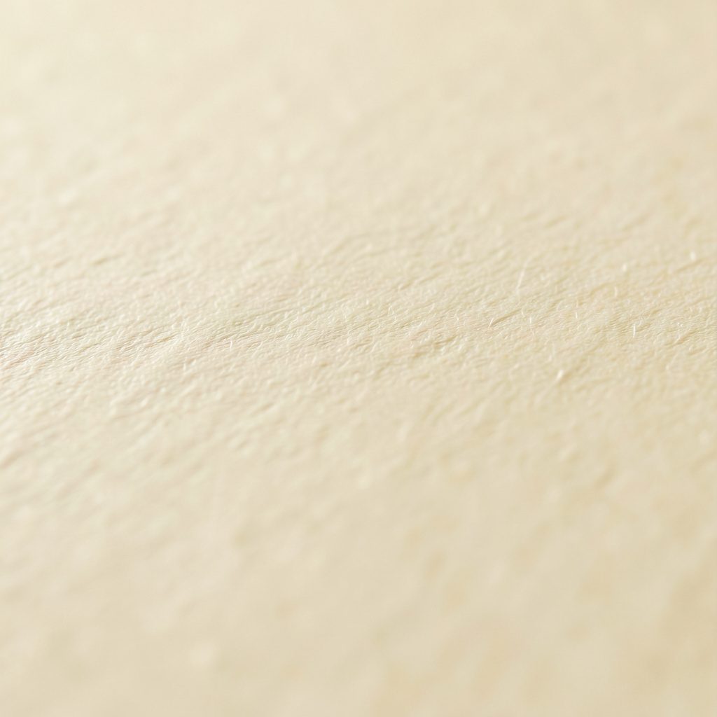 Extreme close-up photograph of smooth matte paper with subtle fiber texture, warm cream tones, soft natural light